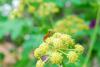 247464 – Photo : Pascal Montagne – France (75)